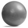  Гимнастический шар ФБ02М 65см 